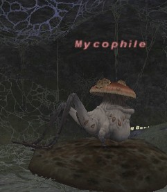 Mycophile.jpg