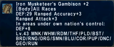 Iron Musketeer's Gambison +2