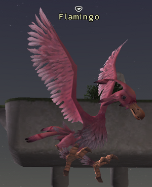 Flamingo.png