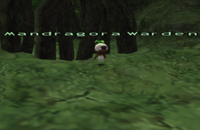 Mandragora Warden.png