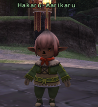 Hakaru-Marikaru.png