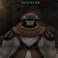 Unlucky Rat.png