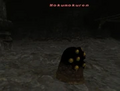 Thumbnail for version as of 01:51, 22 June 2026