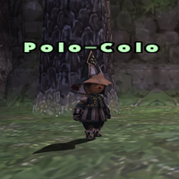 Polo-Colo.png