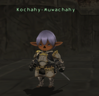 Kochahy-Muwachahy.png