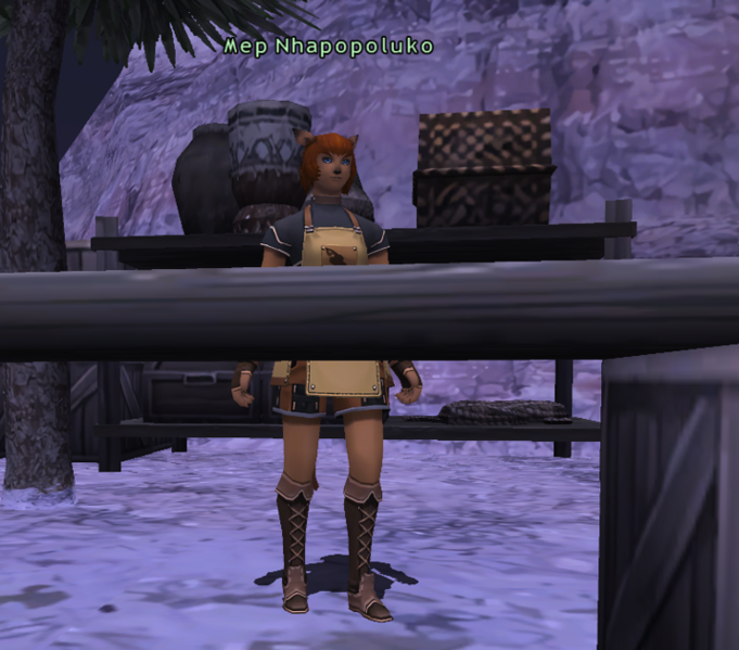 File:Mep Nhapopoluko.png