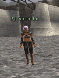 Fo Mocorho.png