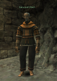 Geuselibel.png