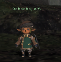 Ochocho.png