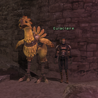 Eulaclaire.png