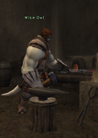 Wise Owl.png