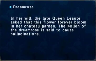 Dreamrose.jpg