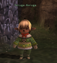 Teruga-Boruga.png