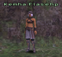 KemhaFlasehp.png