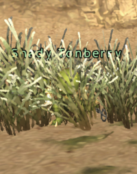 Shady Tonberry.png