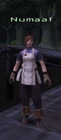 Numaaf.png