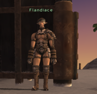 Flandiace.png