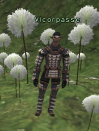 Vicorpasse.png